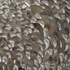 Mother of Pearl(MoP)